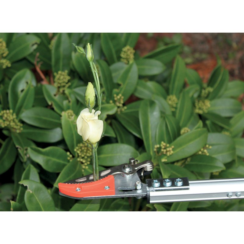 Garten PRIMUS telescopische snoeischaar Rosenkavalier klein